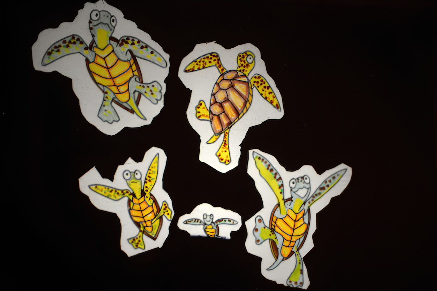 piccole tartARUGE DISEGNATE