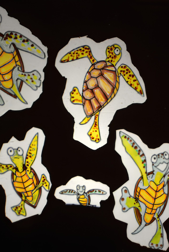 piccole tartARUGE DISEGNATE